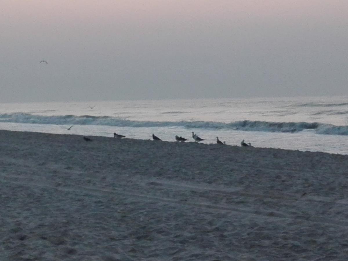 Salalah Beach Villas Kültér fotó